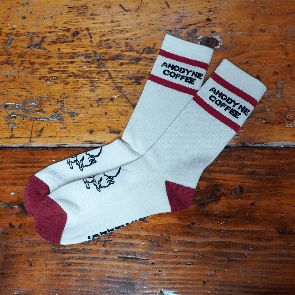 Oh, Hello! Squirrel Socks - Anodyne Coffee Roasting Co.