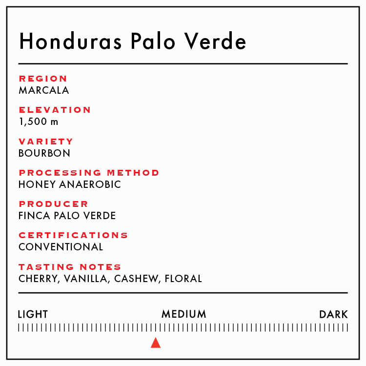 Honduras Palo Verde Honey Anaerobic