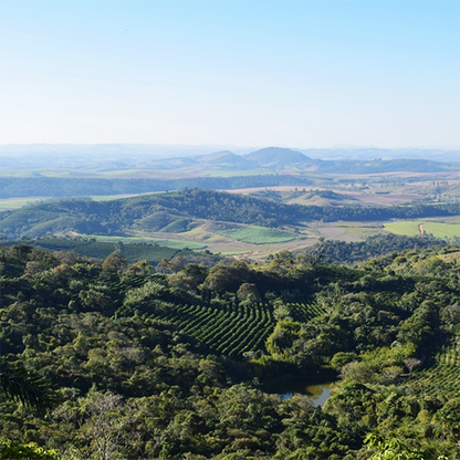 The view of Fazenda Lagoa in Brazil