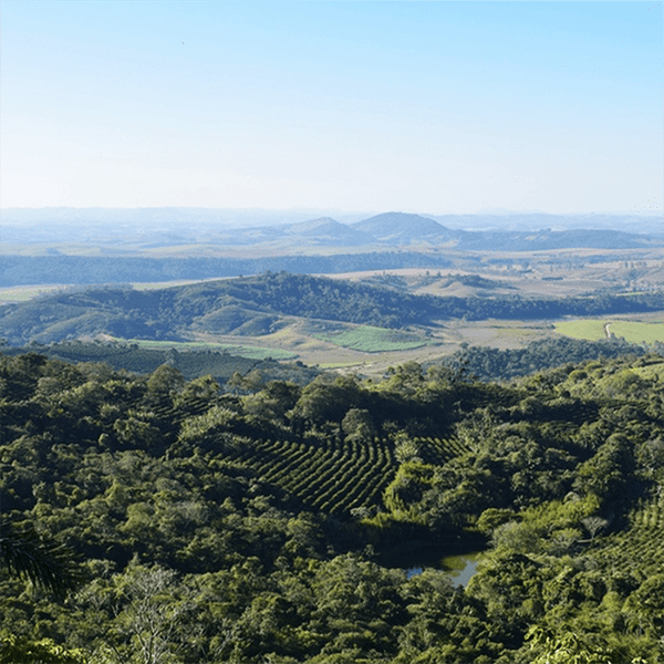 BRAZIL-FAZENDA-LAGOA-SQ_grande