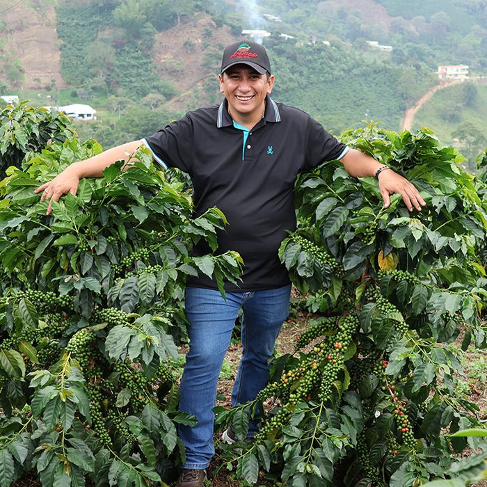 Colombia Finca Monteblanco - Anodyne Coffee Roasting Co.