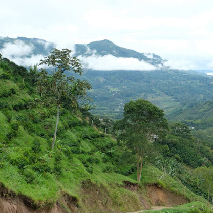 Colombia Las Veraneras