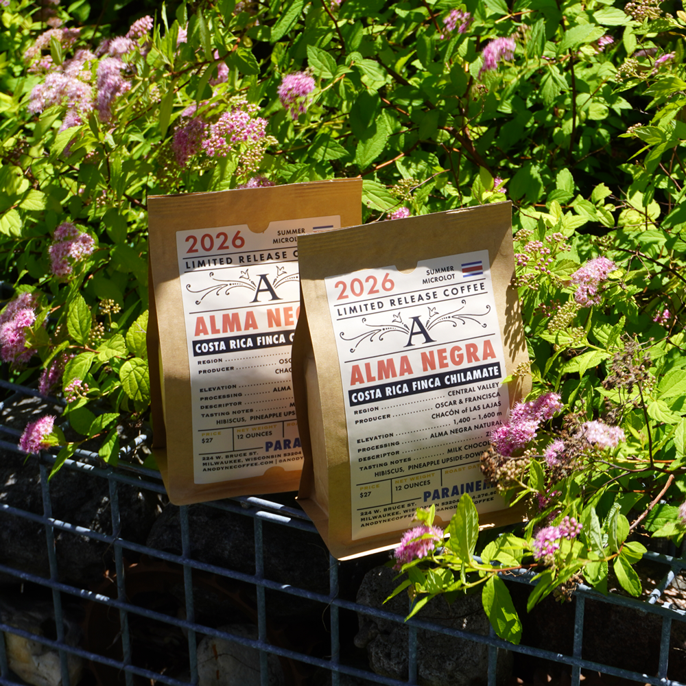 Costa Rica Finca Chilamate (June 24) - Anodyne Coffee Roasting Co.