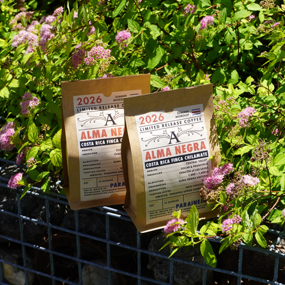 Costa Rica Finca Chilamate (June 24) - Anodyne Coffee Roasting Co.