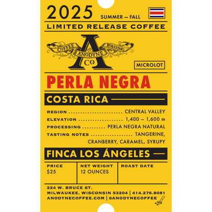 Costa Rica Finca Los Ángeles (Early Sept) - Anodyne Coffee Roasting Co.