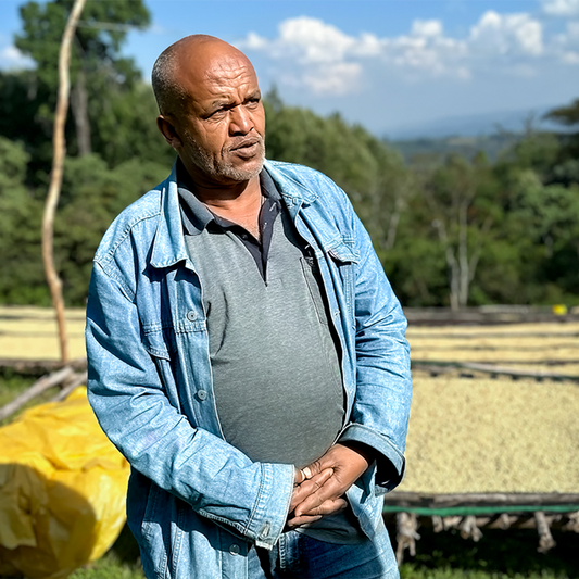 Ethiopia Limu - Anodyne Coffee Roasting Co.