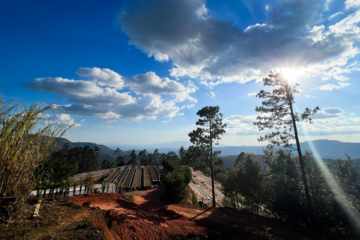 The view of finca Bella Vista in Honduras