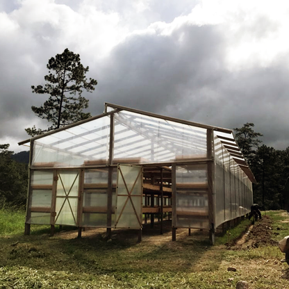 A solar coffee dryer in Honduras