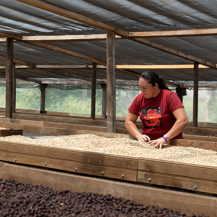 Maria Reyes and her green coffee