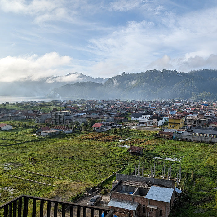 The view of a village in Sumatra