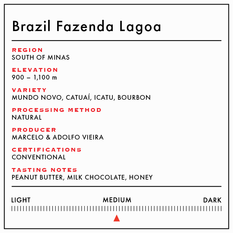 Brazil Fazenda Lagoa