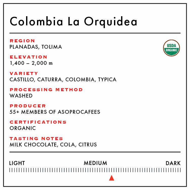 Colombia La Orquidea