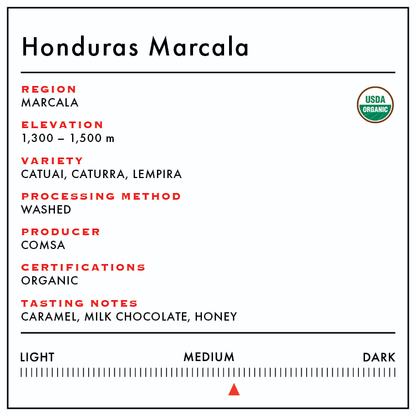 Honduras Marcala