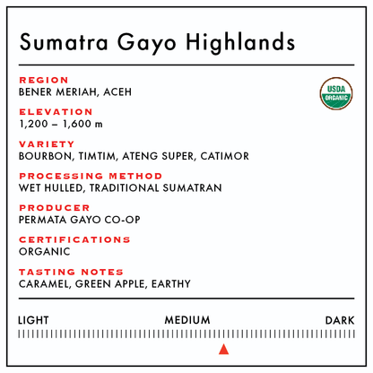 Sumatra Gayo Highlands